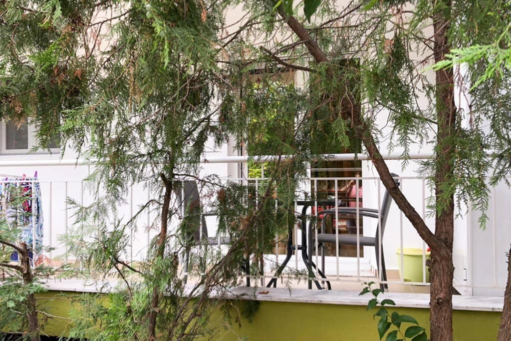 Apartment Cozy Near The *